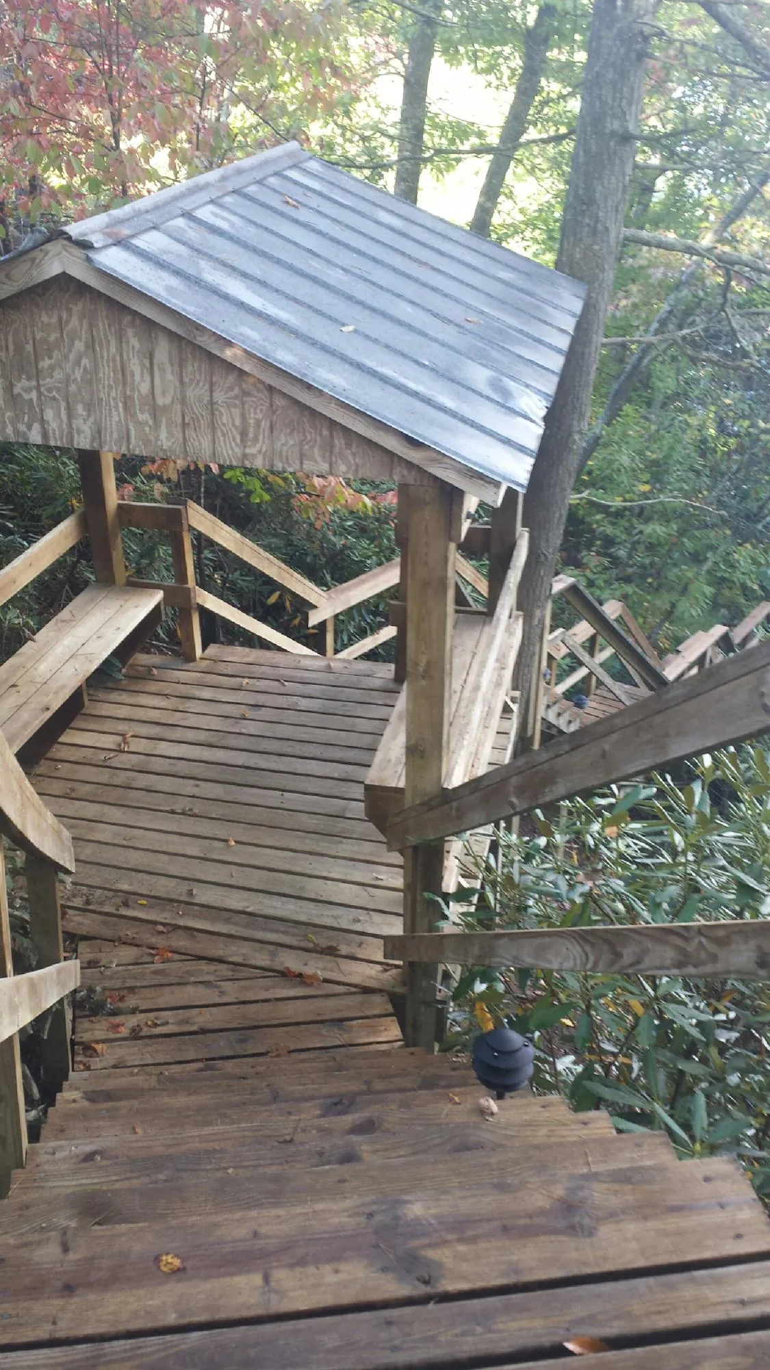 Metal roofed shelter over wooden steps on a wooded walkway — Skylight Repair & Installation work by our crew in Collierville
